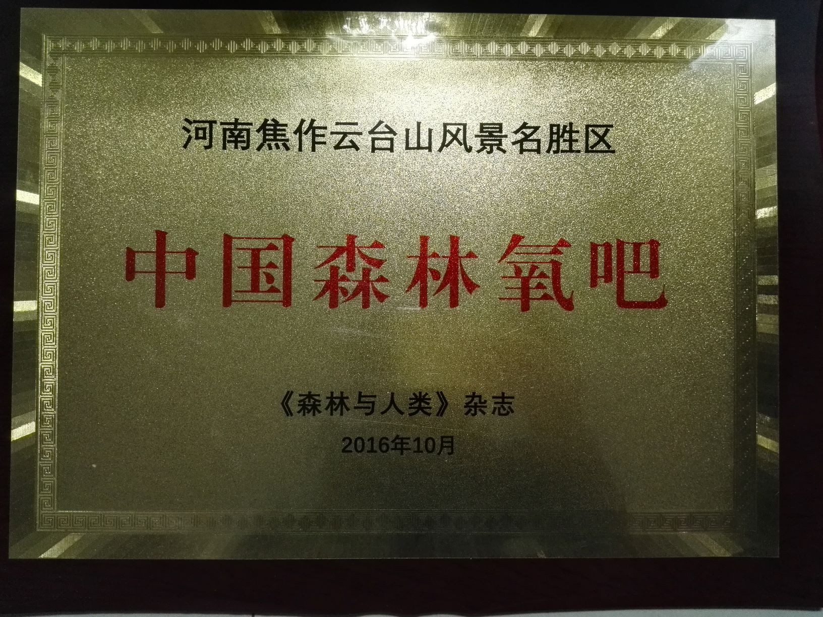 中国林业产业联合会森林休闲体验分会授予云台山风景名胜区管理局“中国森林养生基地”称号。