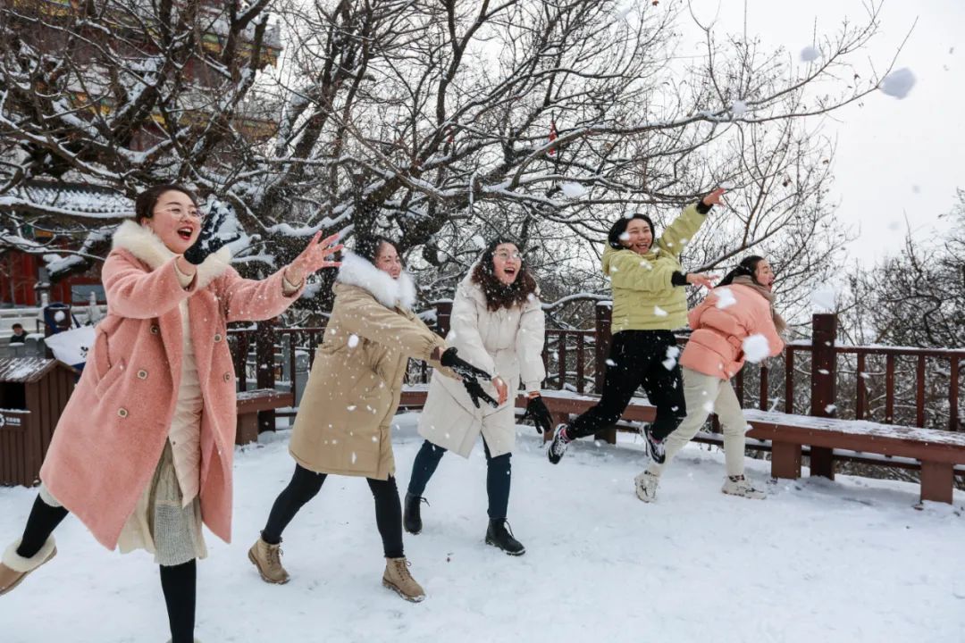 太嗨了！云台山开启赏雪看“海”模式！关键门票还半价！