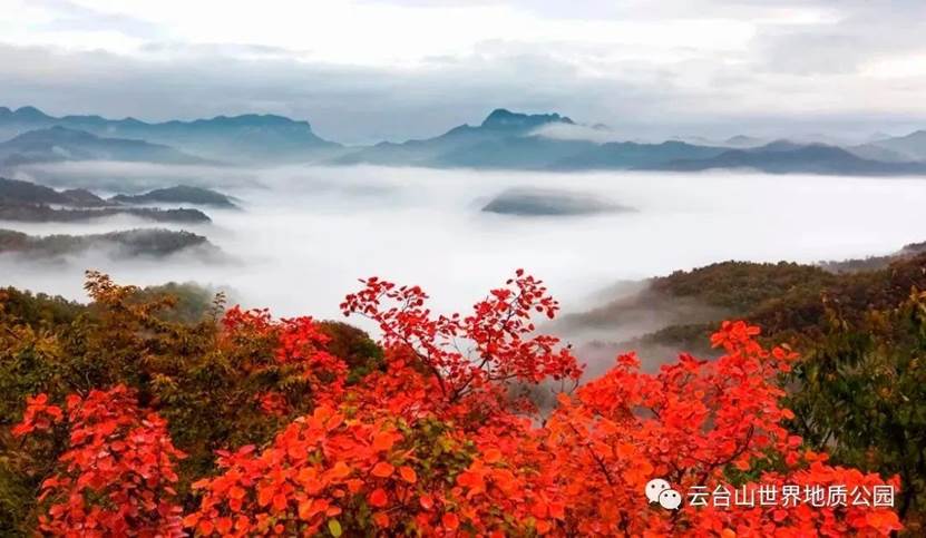 亮相央视《航拍中国》，云台山绝美风光惊艳全国！