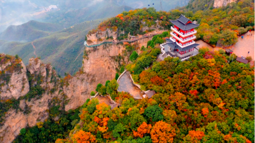 重阳登高观云！接下来的云台山是这样的！