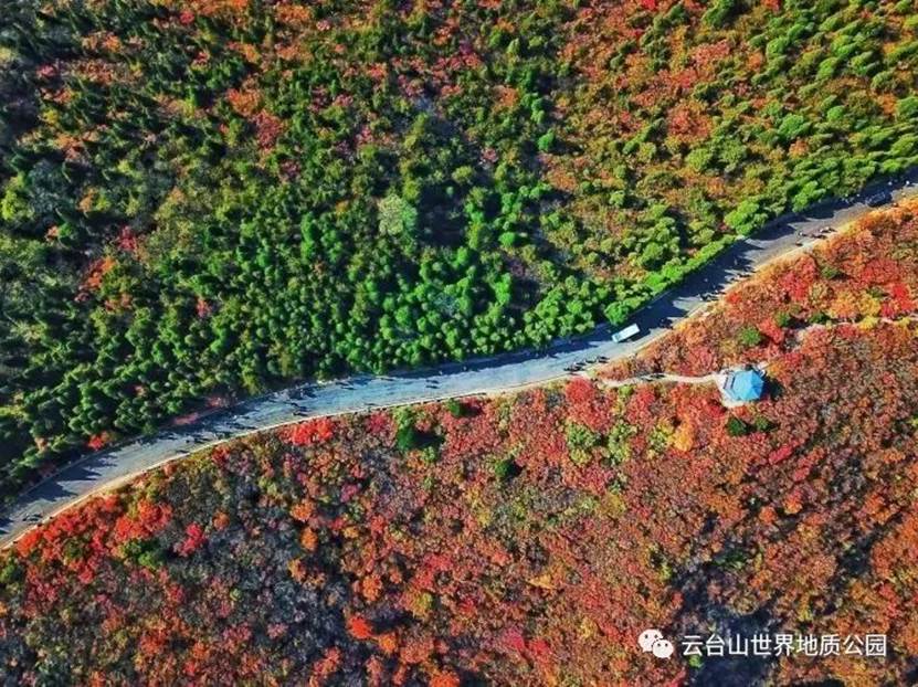 山河已秋！“醉美”红叶海就藏在青天河！