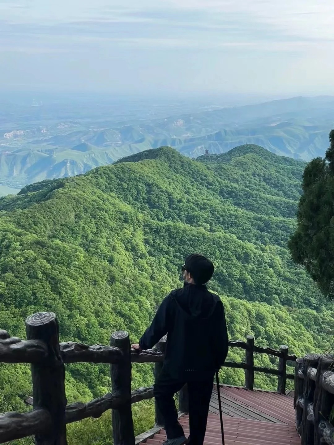 山水+太极！云台山迎来国际研学游团队！