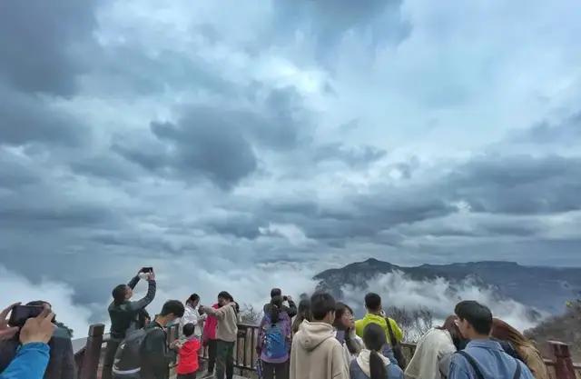 Yuntaishan will resume normal tour from September 26! The sea of clouds falls spectacularly online