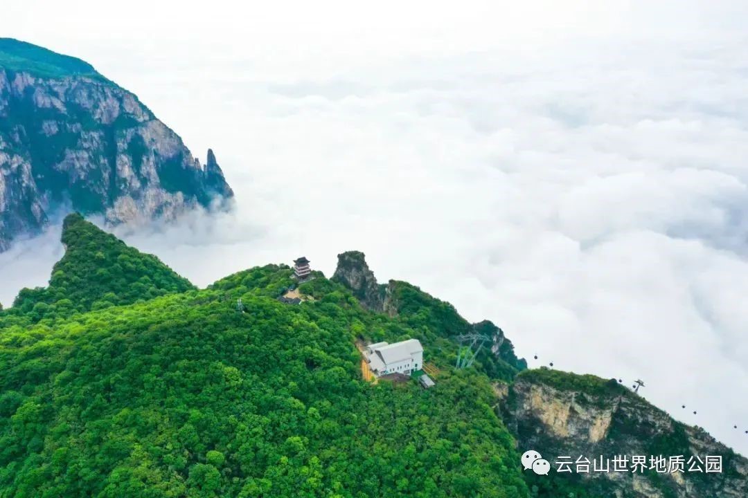 Yuntaishan ushered in the best summer sea of clouds spectacle!