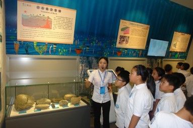 Yuntaishan Global Geopark Museum launched a series of science popularization activities on rocks and minerals